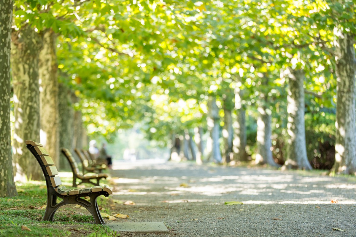 七井戸公園_イメージ